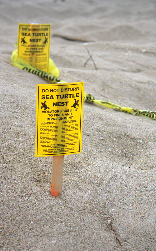 Do not disturbe sign protect sea turtle nest site 